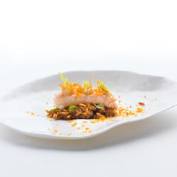 foodfoto-foodfotografie-gourmetfoto 008