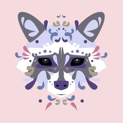 Waschbär, Racoon