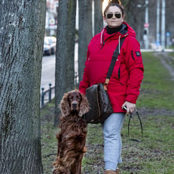 hundchen herrchen bäumchen Seite 12