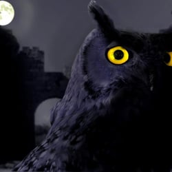 Nightwatch – Fotomontage