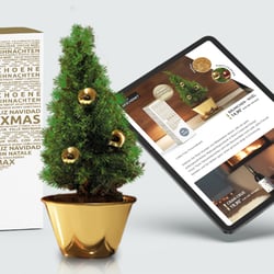 Packaging | Landingpage