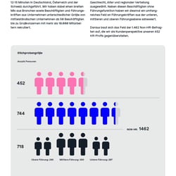 Marketingstudie, Illustration/Infografics, barrierefreies Whitepaper