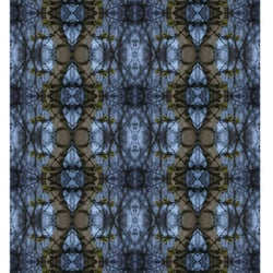 Astwerk2