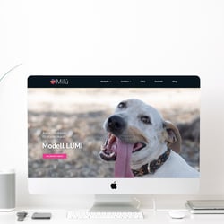 Milú Mex Online Shop