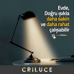 Social Media Design