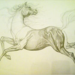 Pferd (Bleistift)