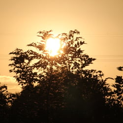 Natur 2012