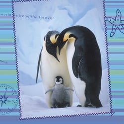 pinguine5a