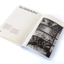 Leafy House Plants Von Benjamin Wurster