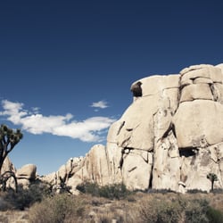 joshua tree park – californien