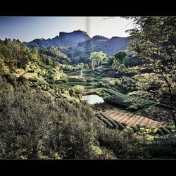 Slanted-Publishers-Tea-Trip 12