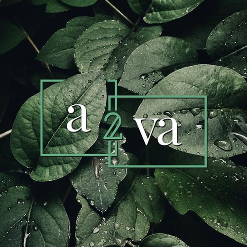 a2va | architecture 2 visual arts
