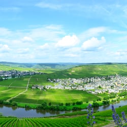 Moselschleifeb
