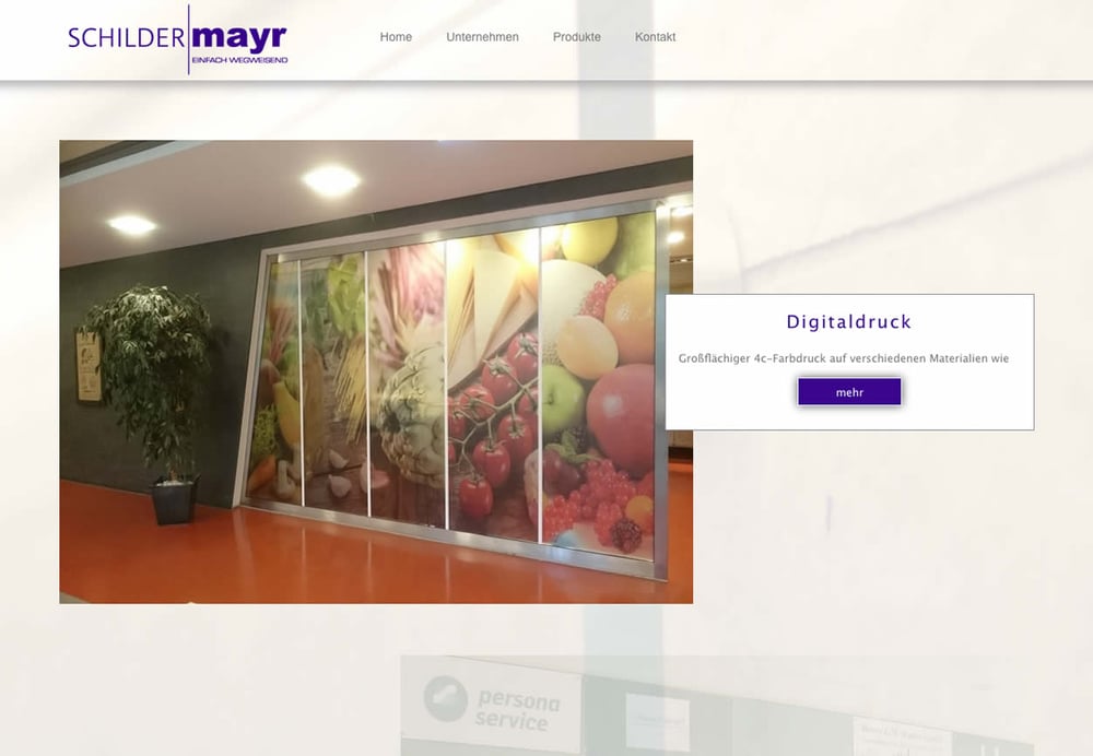 Website mit Typo3