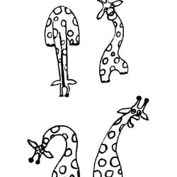 Giraffen