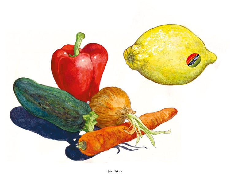 Skizzen / Studien / Aquarell
