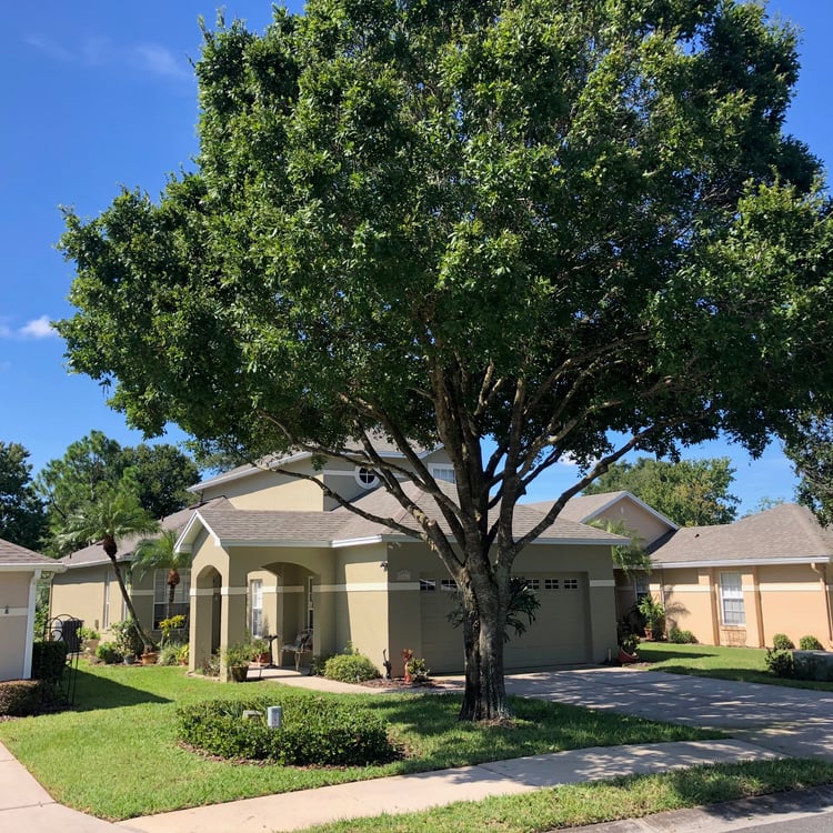 Precision Tree Outdoor Services