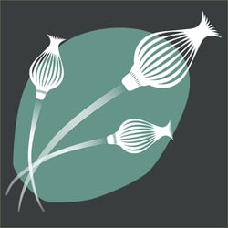 Linocutstil Blume Blume 3