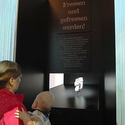 Ausstellungstypografie final