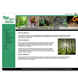 Webdesign