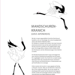 Mandschurenkranich