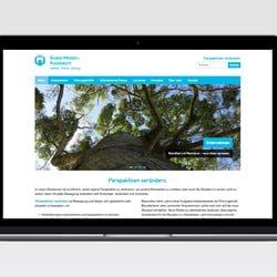 Webdesign / Kunde: Gisela Meisen-Nussbaum, Luzern