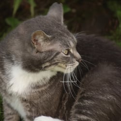 Cat 2014 Foto Übung