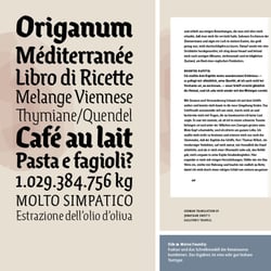 Ode (Type Design und Development)