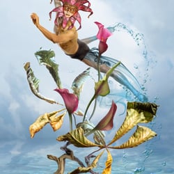 Dancer