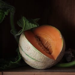 Melone 2