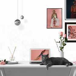 Website für LANITA Agentur effektor Hamburg