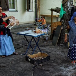 Roma unsere fremden Nachbarn