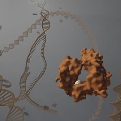 Polymerase von Strang abgefallen, Cinema 4D