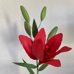 Ausstellung
