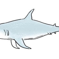 Hai character design