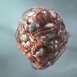 Realtime Alveoli – Test Viz – VR Experience