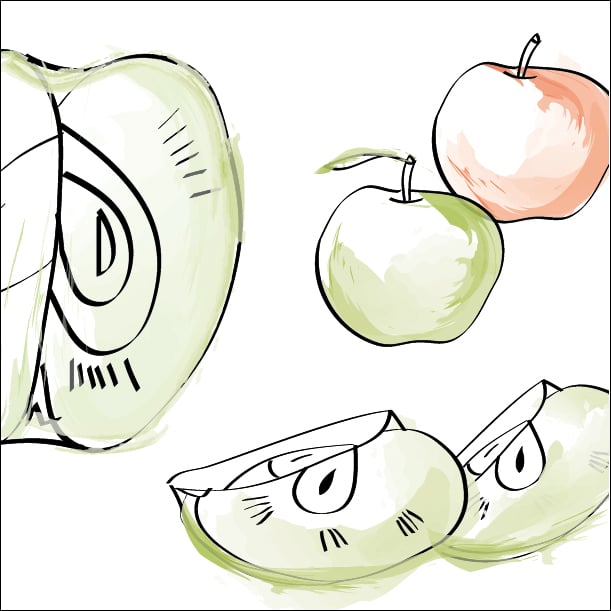 081215 kochbuch illustration 03