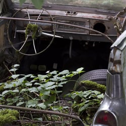 autofriedhof10