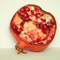 Granatapfel November 2012