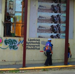 Tigerente in Panama