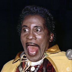 I Put a Spell on You „Screaming Jay Hawkins“