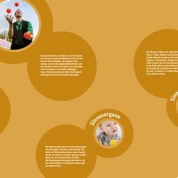 Grafik & Layout Stellwände