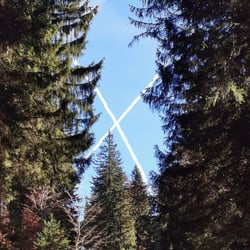 Formen der Natur