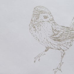 Umschlag-2-Vogel