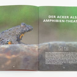 Magazin – FELD Ausgabe 01 | 2019 4