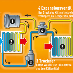 Infografik, AUTO BILD (2007)