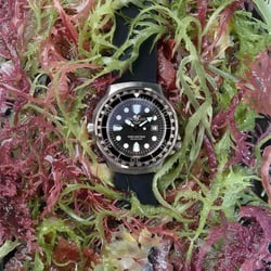 UHR