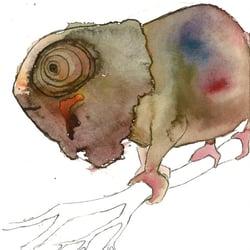Chameleon