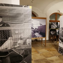 Taubenmarkt Museum Wasserburg 2019 18