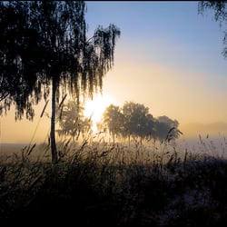 Naturfoto